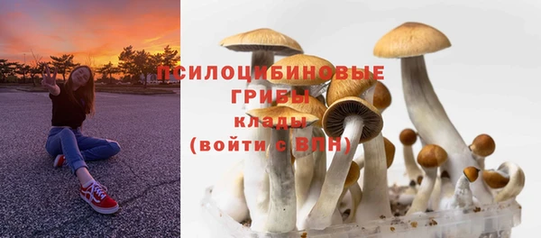 прущая мука Новозыбков