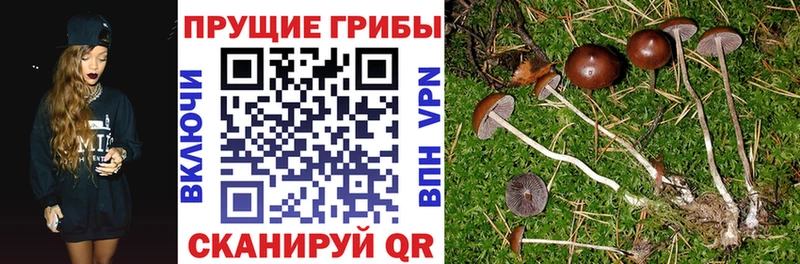 Галлюциногенные грибы MAGIC MUSHROOMS  Фурманов 