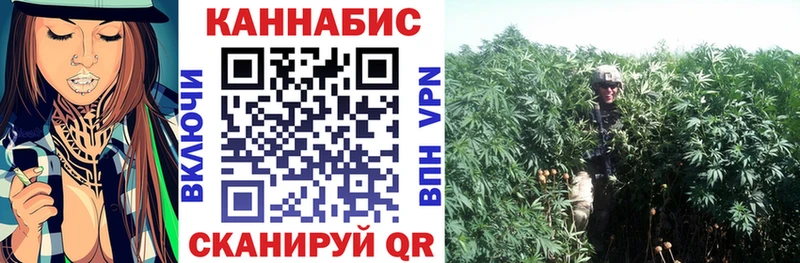 где можно купить наркотик  Фурманов  Бошки Шишки конопля 
